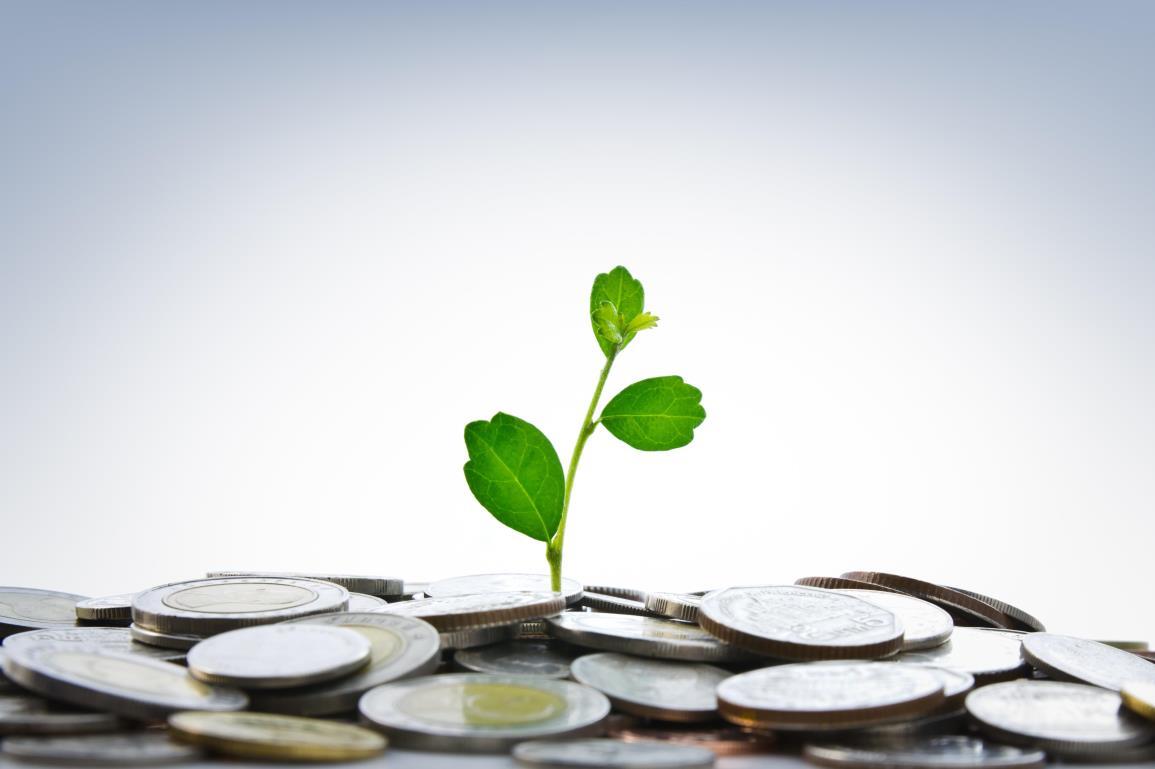 stock-photo-green-plant-growing-from-coins-83192818